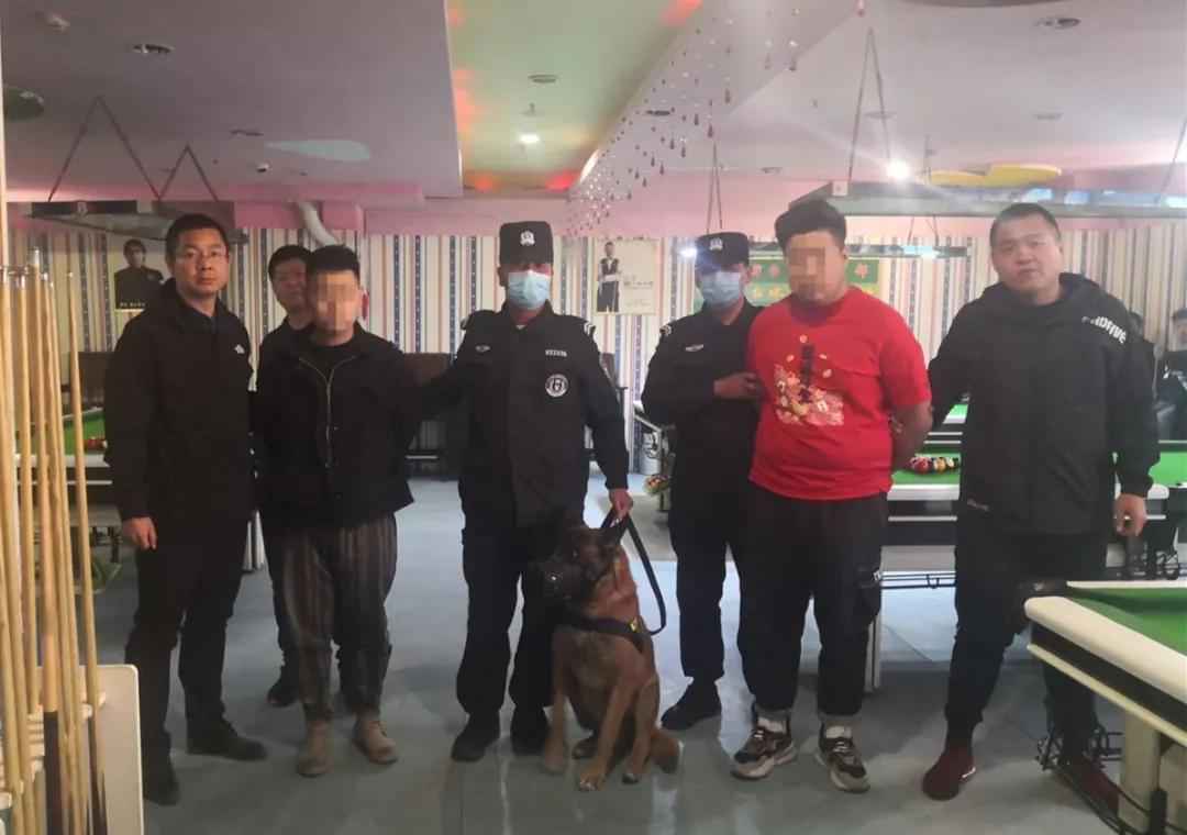 案值10万余元！达旗7小伙组团盗窃 被警方一举抓