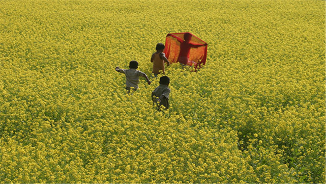 同样都是人口大国，为何我国需要进口粮食，而