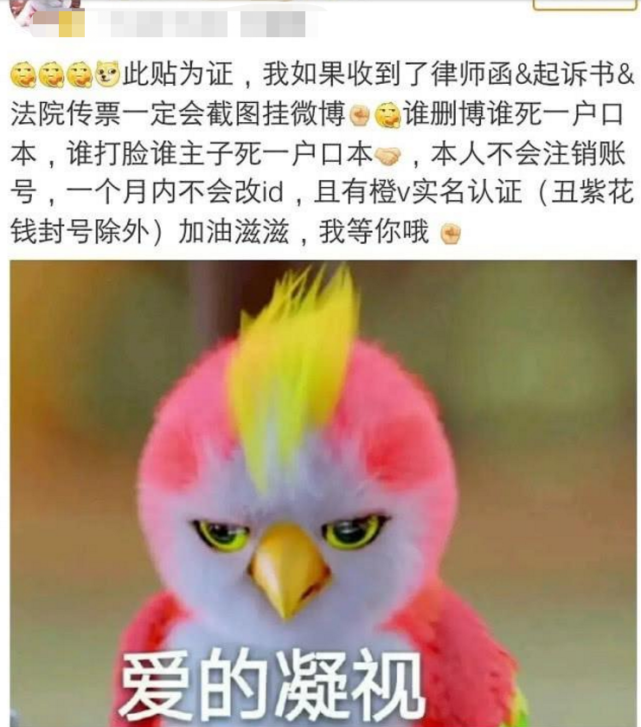 杨紫黑粉被告后伪造公章做证据，现处罚结果出