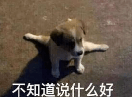 曾厝垵这样的店面一个月租金要十几万？！下辈