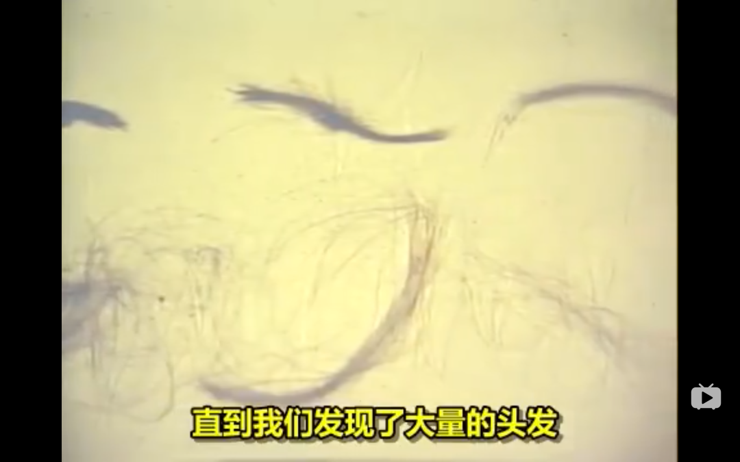 从业50年，侦破8000多起案件，当之无愧的华人之