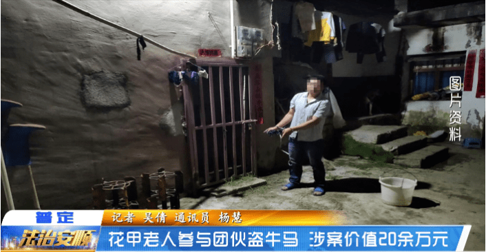 以案释法：花甲老人参与团伙盗牛马，涉案价值