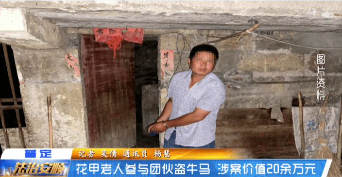 以案释法：花甲老人参与团伙盗牛马，涉案价值