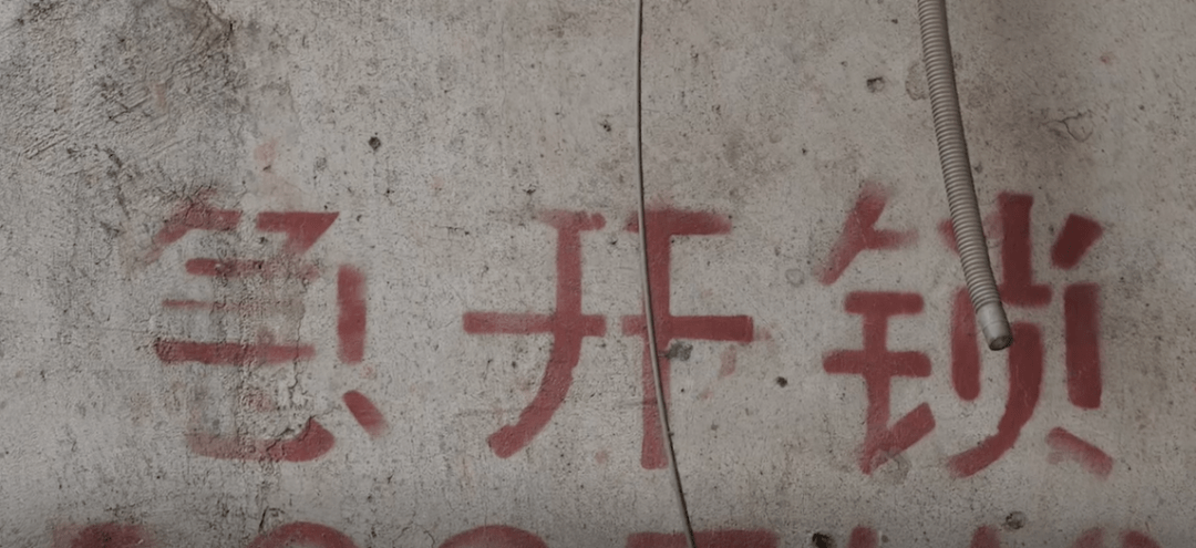 从没钱吃饭到月入三四万 这个“点子”不一般！