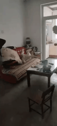 陕西男子怒摔2岁幼童致死，摔人者身份曝光：恶