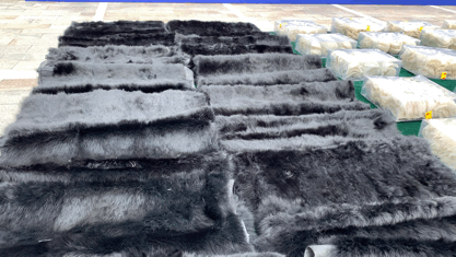 冻肉、燕窝、平板电脑.....你吃的用的可能来自犯