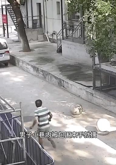 到底是什么人？让警察、保安、医生、路人一路