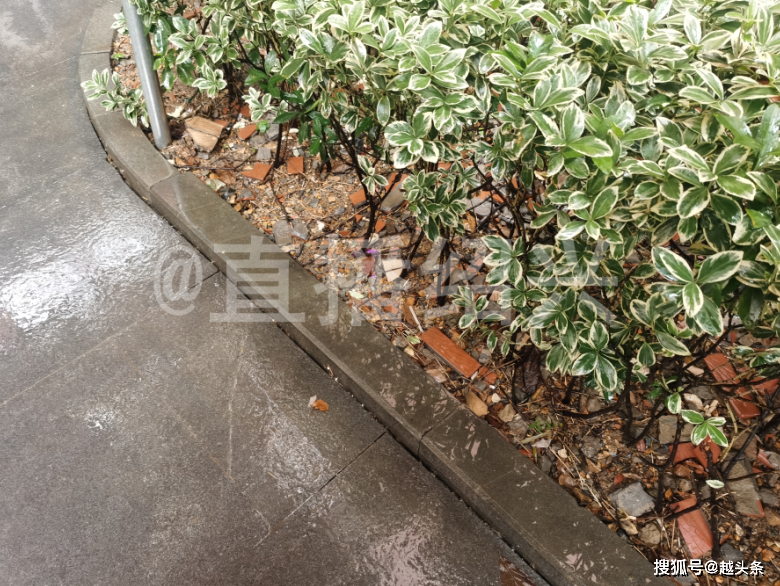 绍兴一小区成“轰炸区”！曾有一男孩死里逃生