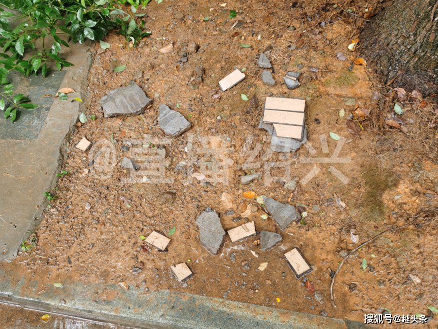 绍兴一小区成“轰炸区”！曾有一男孩死里逃生