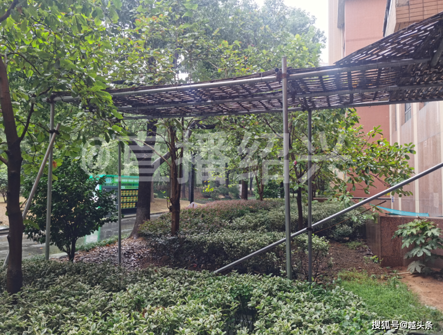 绍兴一小区成“轰炸区”！曾有一男孩死里逃生