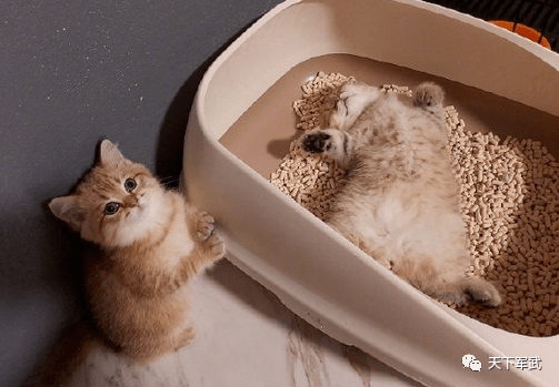 三编丨情侣之间的小游戏永远都是女方赢 不过有