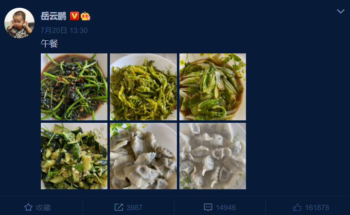 岳云鹏发微博“自问自答”称想吃饺子，粉丝吐