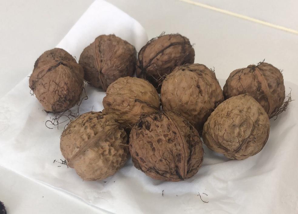 我在云南贫困县，听到了留守儿童的秘密