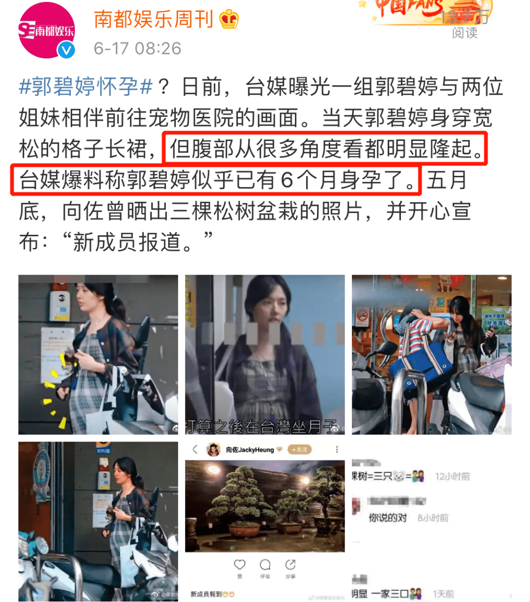 终于陪产？他们这婚结得太坎坷了