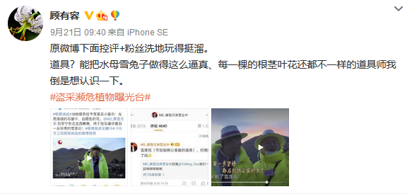 极限挑战刘宇宁摘国家保护植物遭专家打脸，争