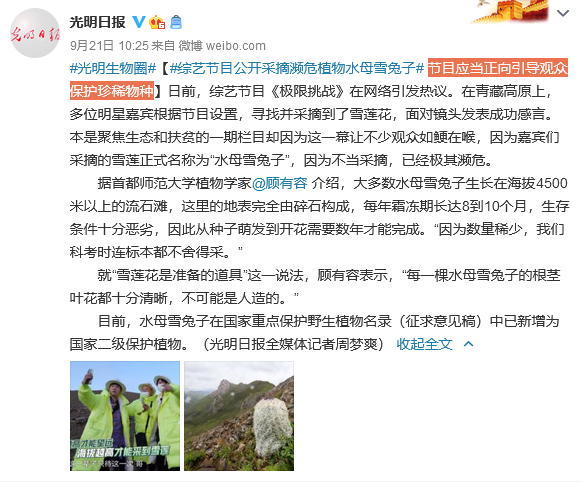 极限挑战刘宇宁摘国家保护植物遭专家打脸，争