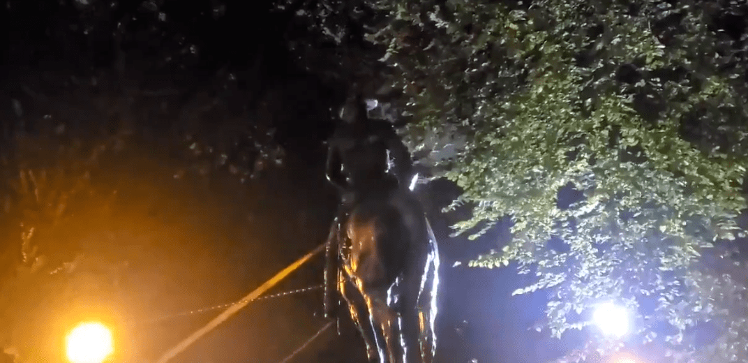 “把这群畜生关进监狱，就现在！”特朗普发推