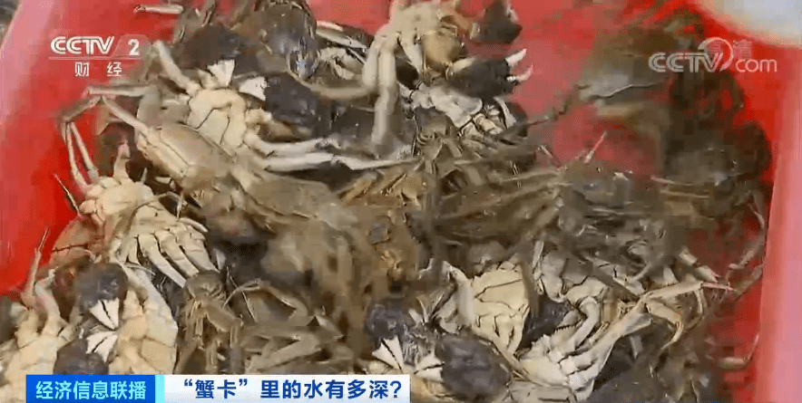 “纸螃蟹”横行，套路太深！“3588”是型号还是