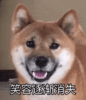 “空姐”微信定期发布异国风光，畅聊300多好友