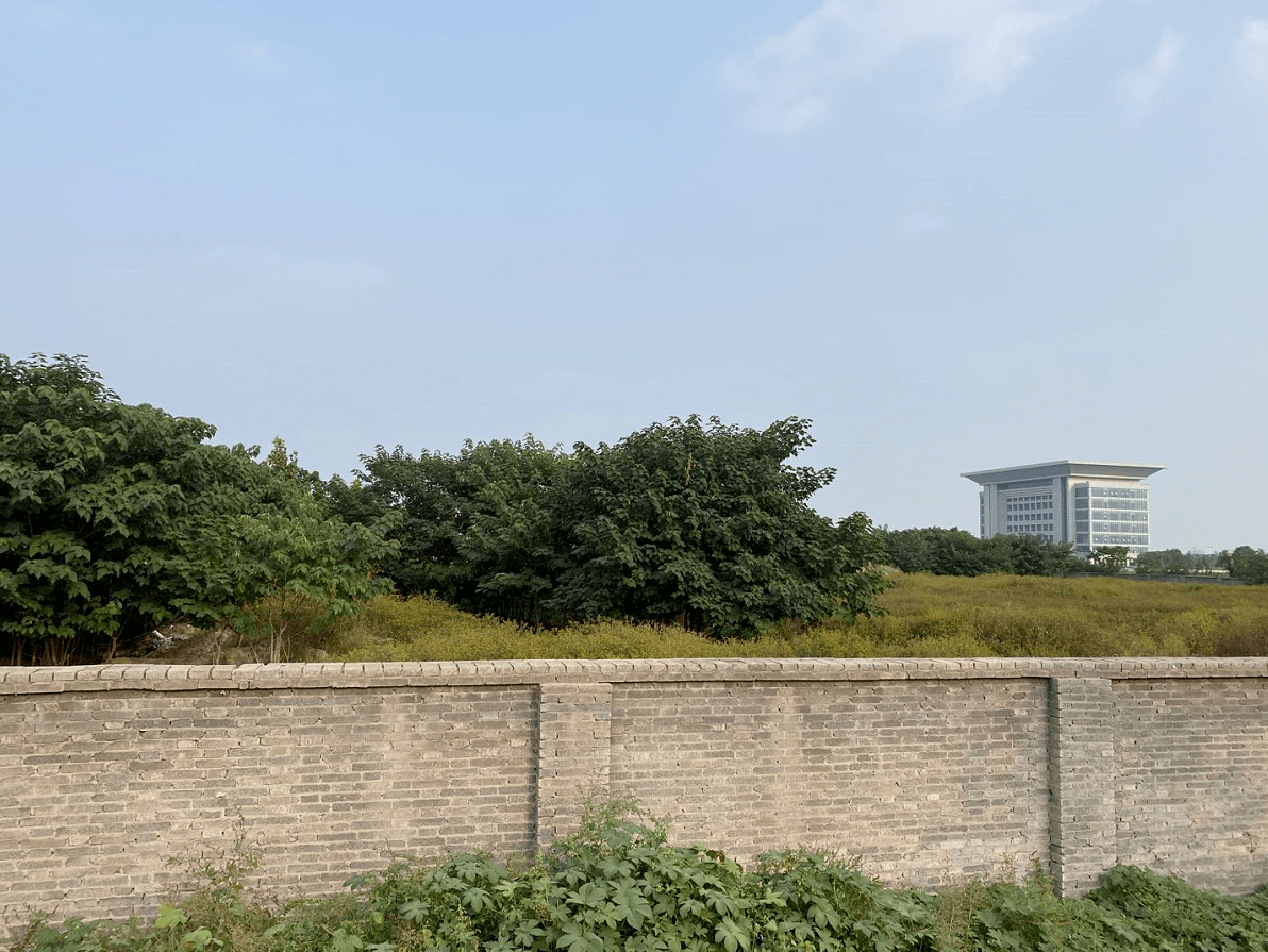 河北“明星”芯片厂夭折：省重点项目、海外专