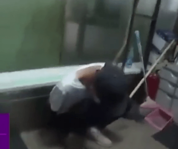 太嚣张！小偷地铁偷手机后和警察斗嘴：我不找