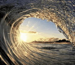 难舍“旧”爱，罗永浩“转”身归来