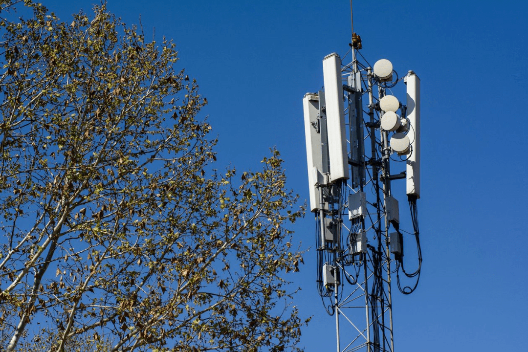 又憋新招？美媒：美国将向发展中国家提供贷款