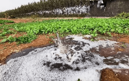 井水异味是“未解之谜”？这种办事作风才是“