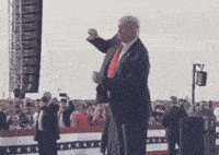 看你美:特朗普在跳,铁票仓在“摇”