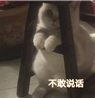 为什么林丹出轨了，谢杏芳还愿意和他秀恩爱？