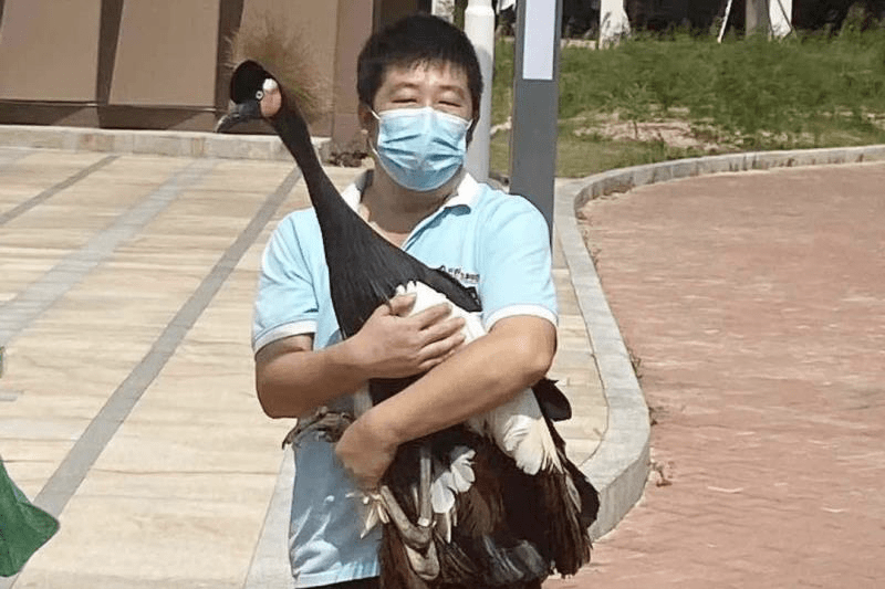 这位误入深圳大学城的“非洲裔留学生”已安全