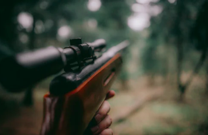 封杀极兔，“通达系”打响“双十一”第一枪