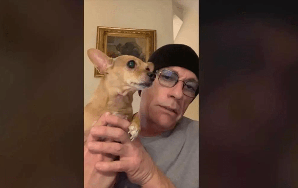 老牌动作明星尚格·云顿出手救狗