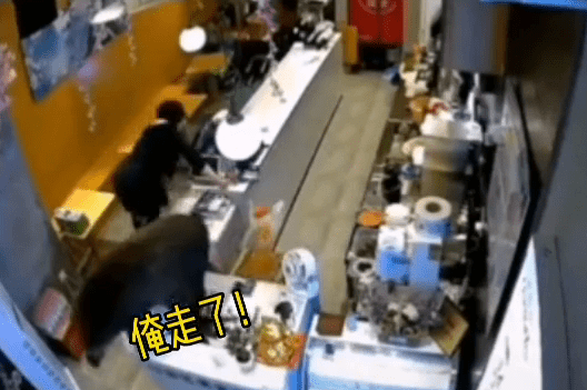 南京一野猪闯进奶茶店吓坏女店员 惊声尖叫一跃