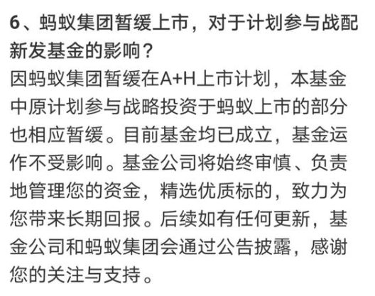 蚂蚁集团暂缓上市， 600亿规模的蚂蚁战略配售基