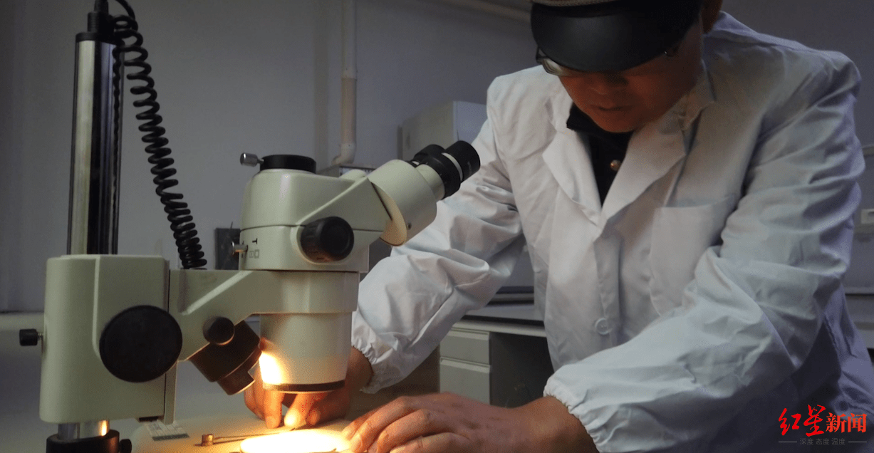 男子被杀抛尸江中头部手脚遭捆，作案的6名亲属