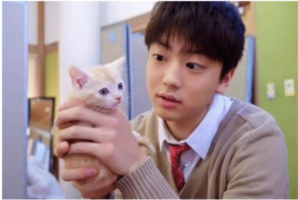 肇事逃逸、逼女友堕胎、家暴虐猫！伊藤健太郎