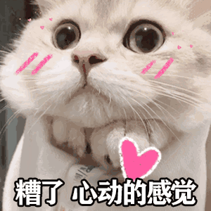 霸气抢亲名场面：《锦衣之下》上榜，《香蜜》