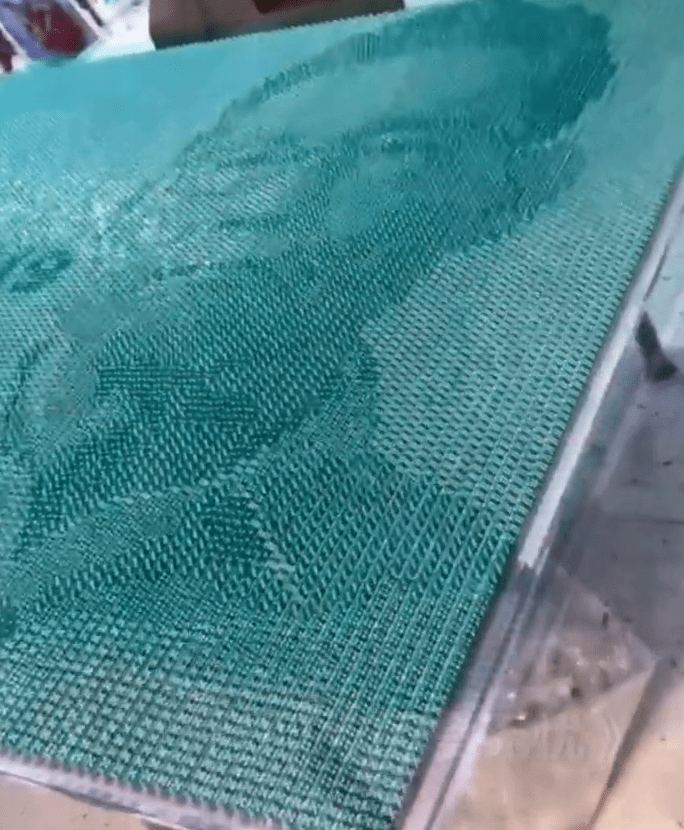 高手！1.6万骰子拼出袁隆平和钟南山 “医食无忧