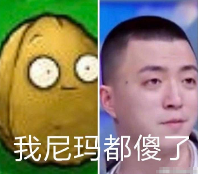 2000万的瓜，是他？