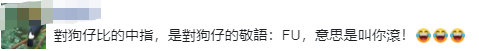 38岁彭于晏被路人指点，当街不爽竖中指，网友：