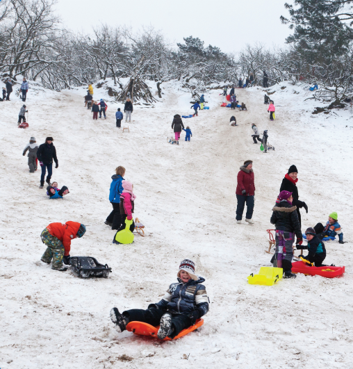 今日“大雪”，别忘了陪孩子做这6件事！（转给