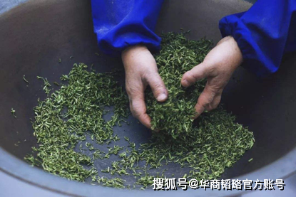 日韩虎视眈眈申遗！中国人喝了四千年的茶，也