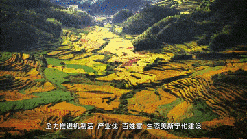 小城何以办成大事？