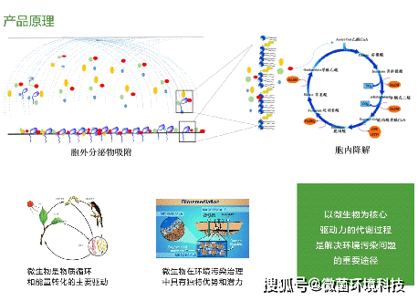 你必须要知道的生物除臭剂八大优势