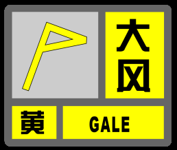 最新！上海寒潮黄色预警+大风黄色预警来了！雨