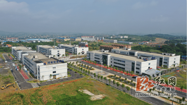 贯彻落实“三高四新”战略 引领高质量发展——