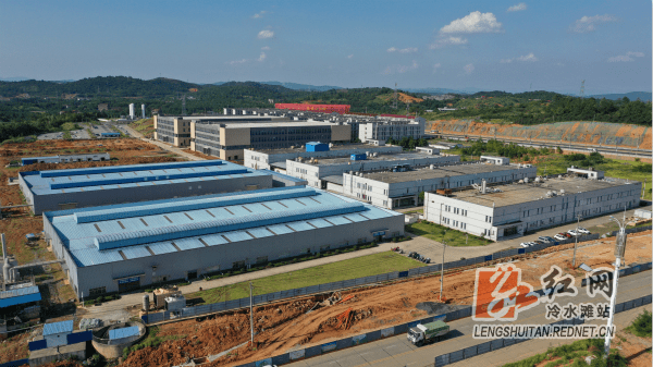 贯彻落实“三高四新”战略 引领高质量发展——