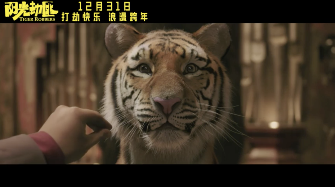 超豪华，12月的新片也太太太太猛了！