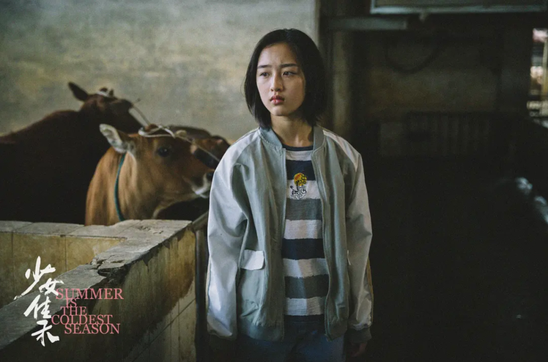 超豪华，12月的新片也太太太太猛了！